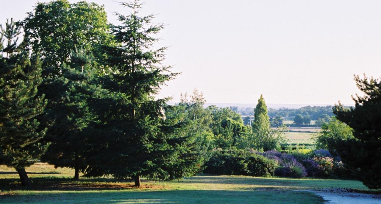 Bed and Breakfast Le Logis Du Pressoir Chambre D'Hotes Bed & Breakfast In Beautiful 18Th Century Estate In The Heart Of The Loire Valley With Heated Pool And Extensive Grounds à Les Bois-d'Anjou Extérieur photo